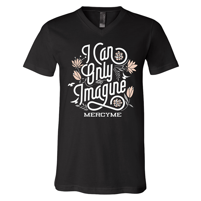 I Can Only Imagine Ladies Tee