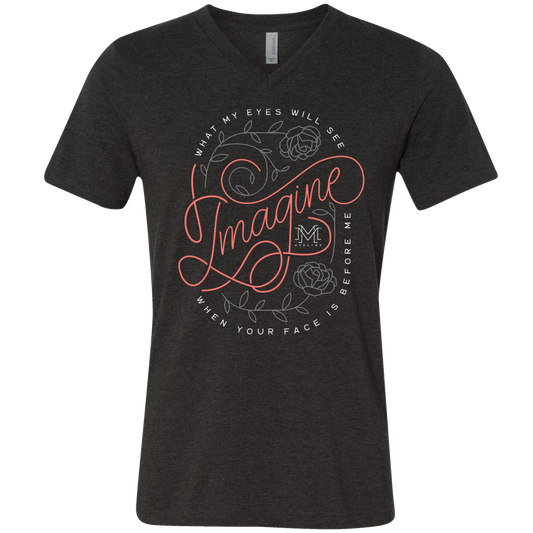 MercyMe Imagine V-neck Online Mock