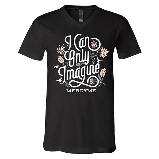 I Can Only Imagine Ladies Tee